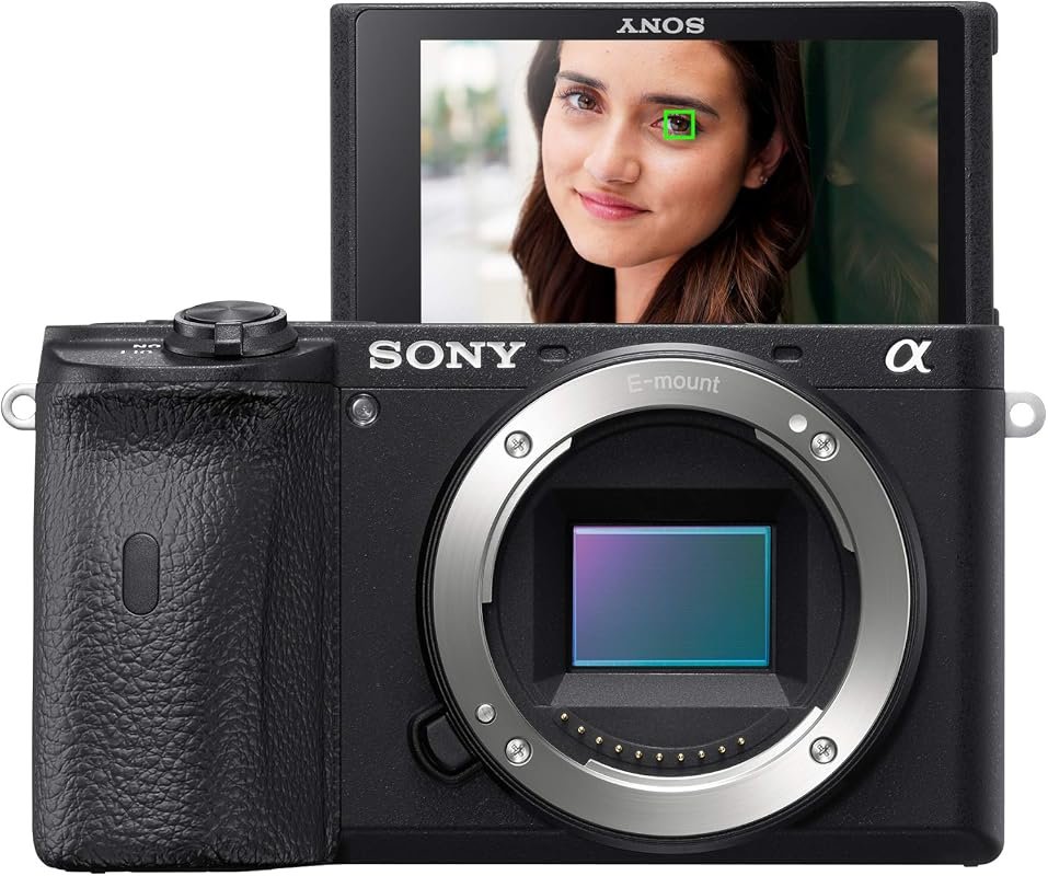 Sony Alpha A6600 Mirrorless Camera (ILCE-6600/B) in Black, 24.2MP APS-