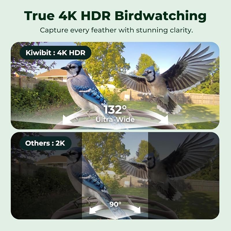 Kiwibit Solar Smart Bird Feeder with 4K AI Camera, No Subscription