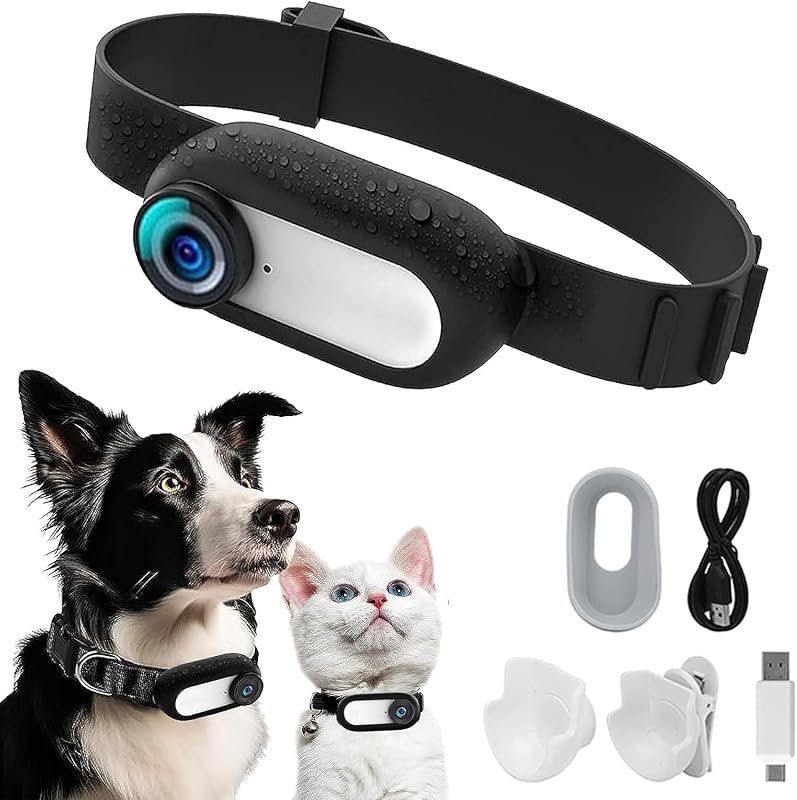 HD 1080P Cat Camera Collar – Wireless Mini Sport Cam, No WiFi, Includes SD Card, Ideal Birthday Gift
