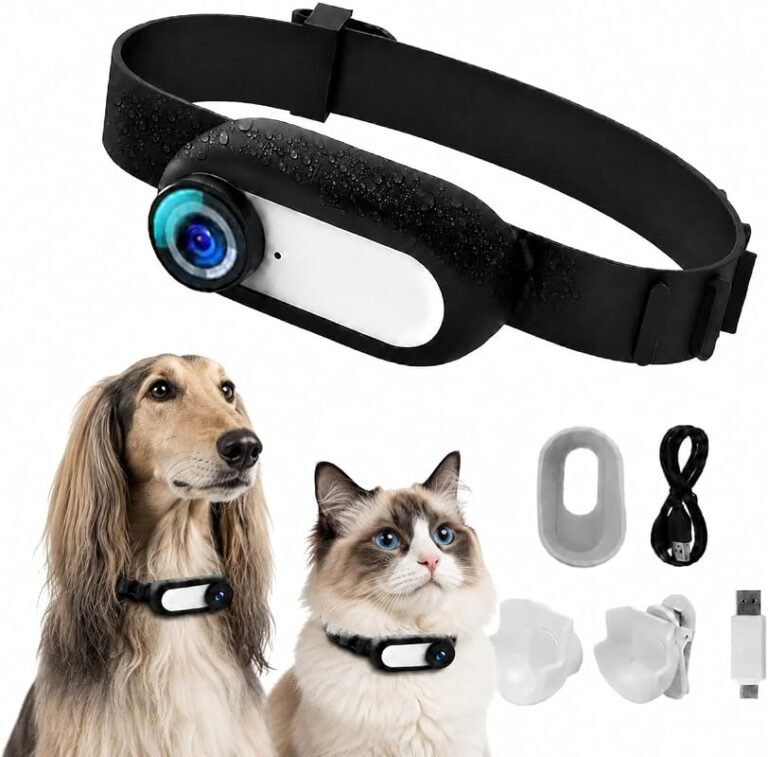 10 Best Cat Collar Cameras of 2026 – Expert Picks for Quality & Safety