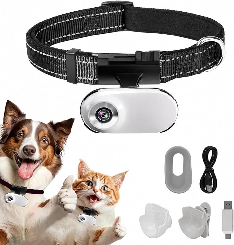 HD 1080P Cat POV Camera Collar – Sports Body Cam, No WiFi, Indoor/Outdoor, Ideal Gift for Pet Parents