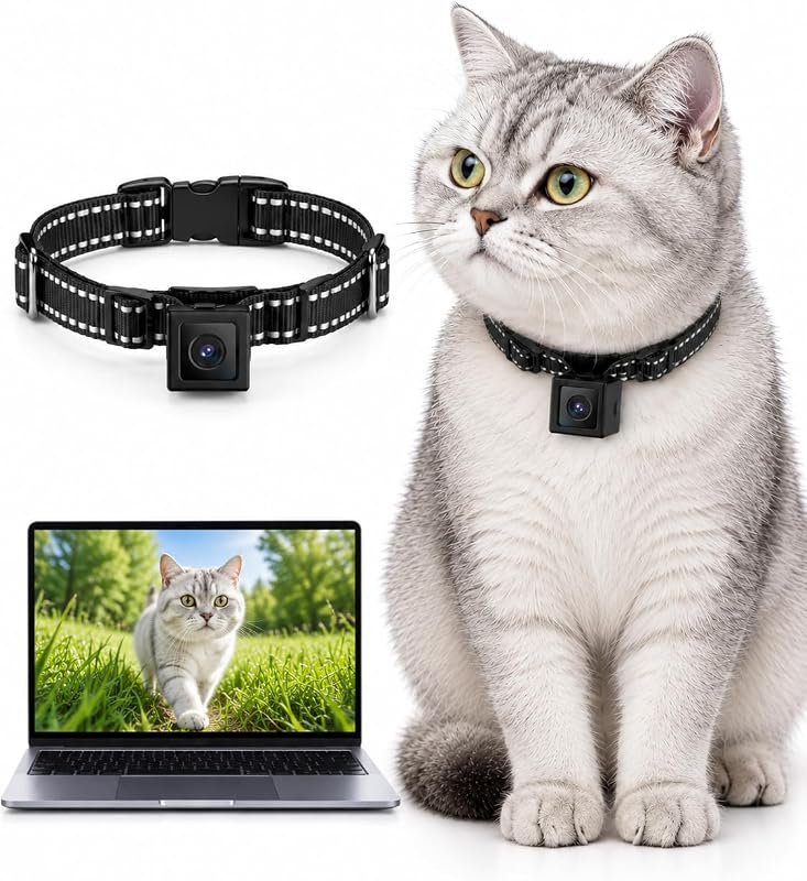 1080P HD Cat Camera Collar, Pet POV Video Recorder, Perfect for Cats a